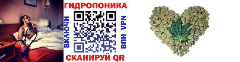 закладки  Торжок  Конопля Ganja 
